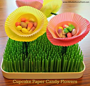 cupcakepapercandyflowers