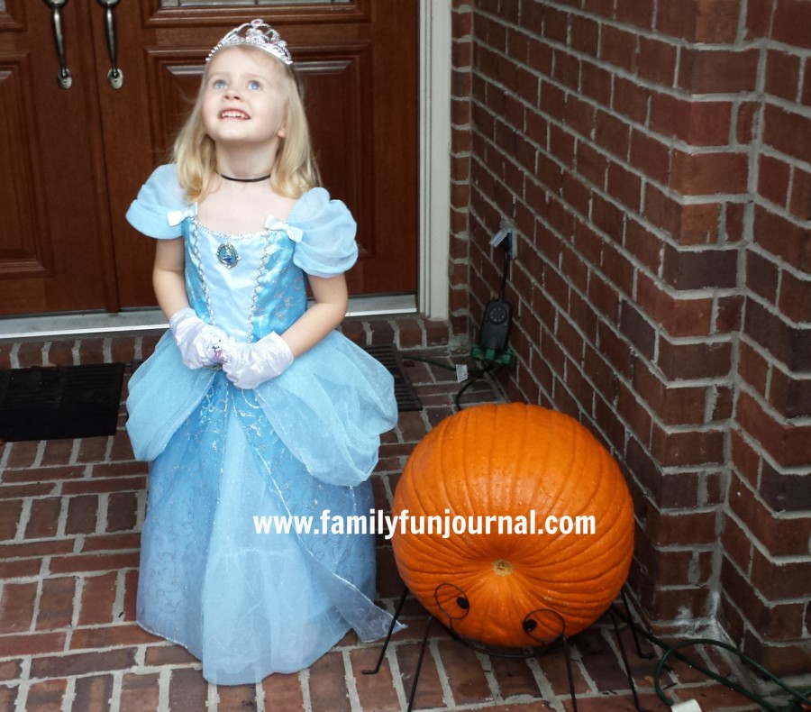 cinderella costume