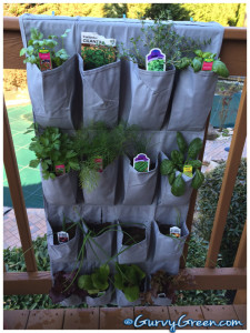 how-to-grow-your-herb-garden-in-a-shoe-rack