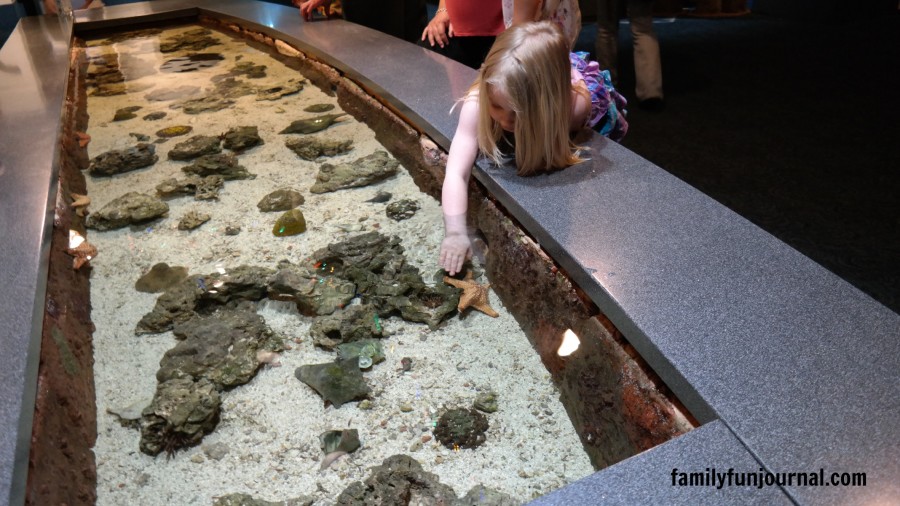 moody gardens exhibit