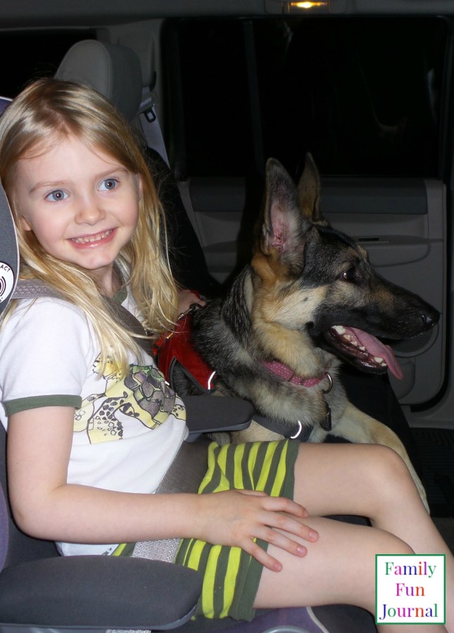 pet car seat cover 2