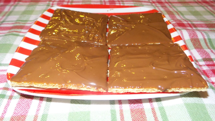 chocolate covered grahams