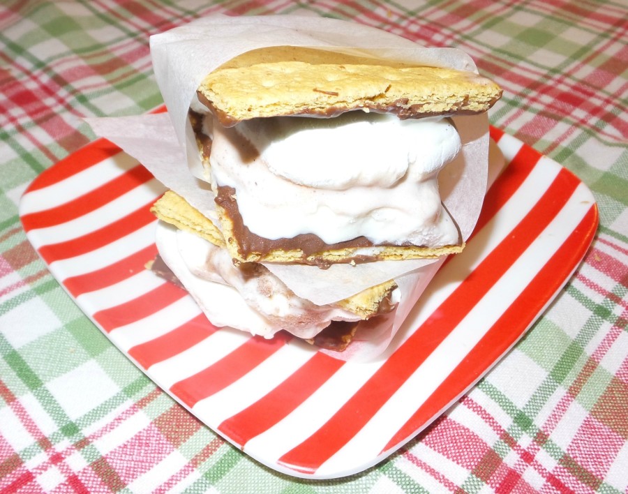 smores ice cream sandwiches