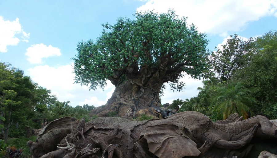 tree of life disney