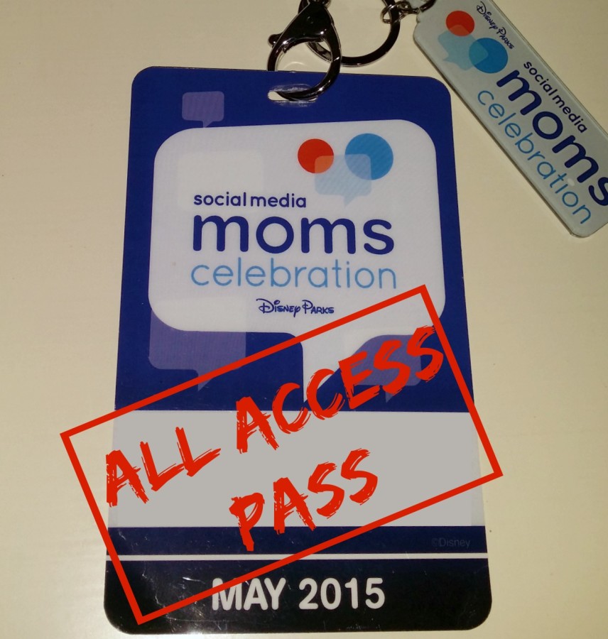 disney smmc 2015 pass