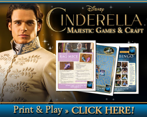 cinderella majestic activities