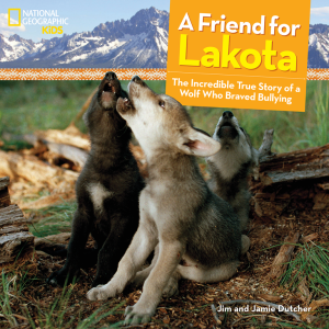 a friend for lakota