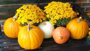 october pumpkins