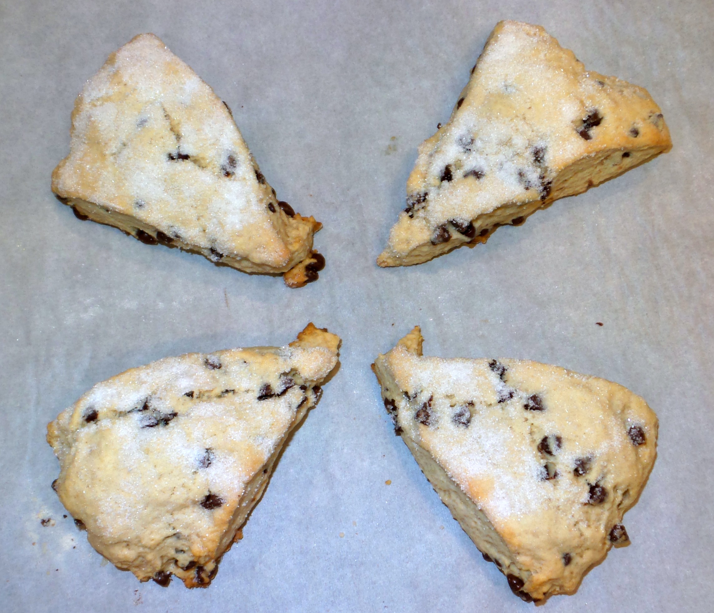 chocolate chip cookie scones final