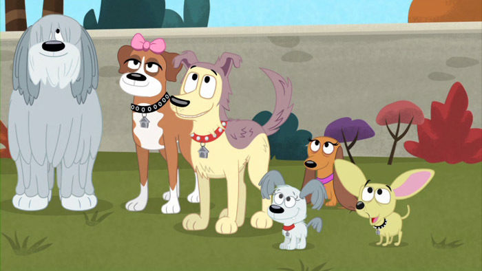 pound puppies showstopping pups