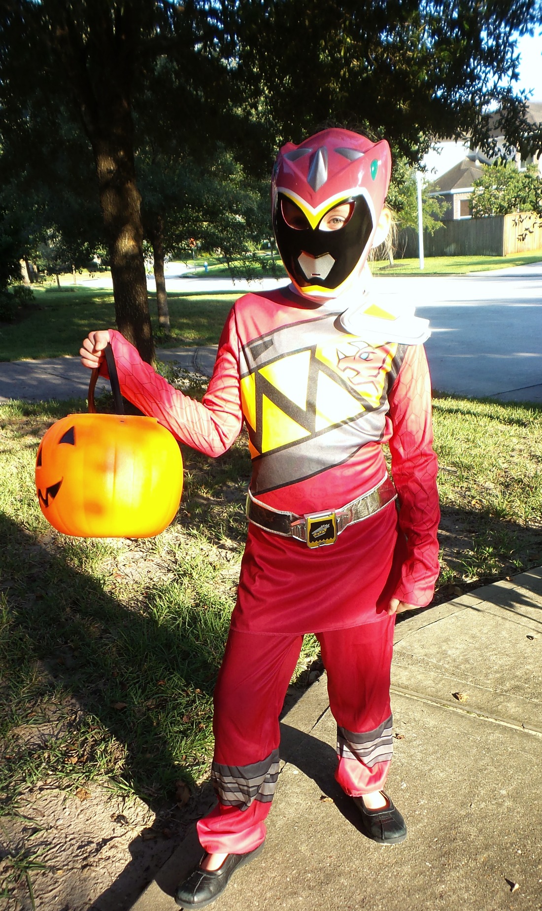 pink dino ranger costume