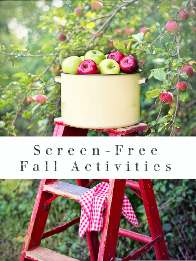 screen free fall activities