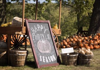 Pumpkin patch during screen-free fall activities for families
